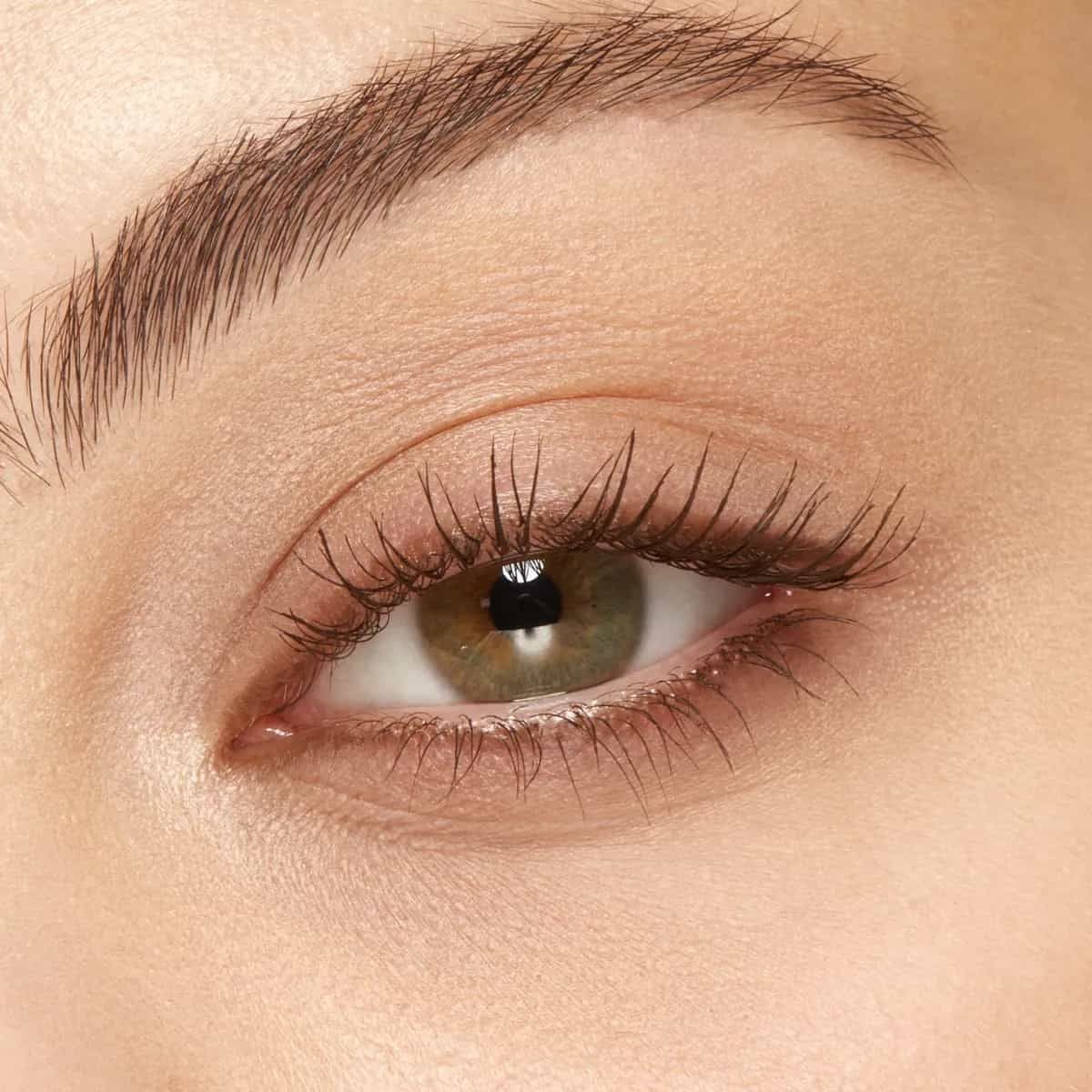 8d The Curl Long Waterproof Brown  Mascara